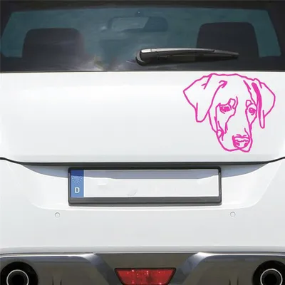 Produktbild von Auto Aufkleber Labrador LABI Labbi Hund Dog Hundekopf Hundefreund 15x13 cm Pink Sticker Heckscheibenaufkleber