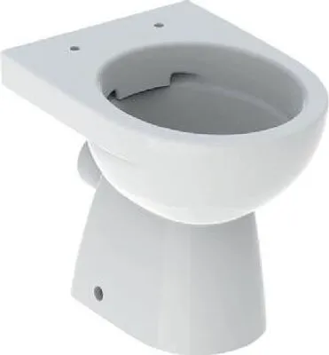 Obrázok produktu pre Geberit Selnova - Závesné WC, 490x355 mm, bez okrajov, biele 500.480.01.7