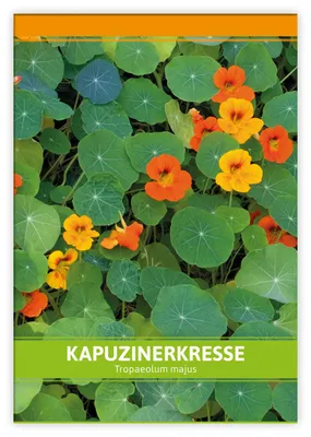 Produktbild von Kapuzinerkresse für Werbezwecke | Kapuzinerkressesamen von FLORTUS