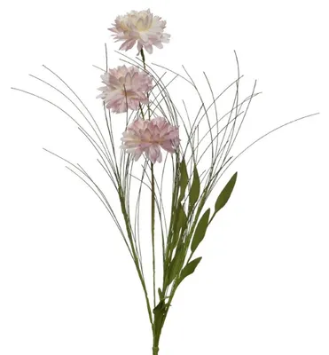 Produktbild von Dahlien Strauß - Blumen für Zuhause, Hochzeit, Büro - rosa, Länge 60