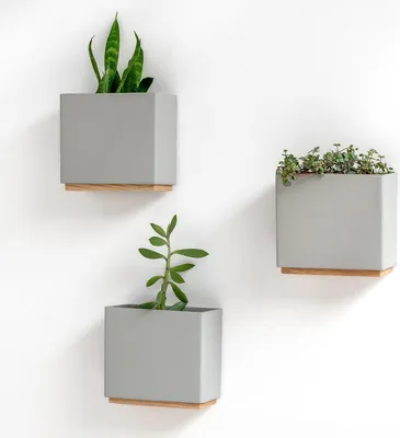 Produktbild von Wandvasen - für Muurbloempjes, Muurplantjes, Muurbloem - Moderne hängende Blumentöpfe für die Wand - 3-teiliges Übertopfset aus hochwertigem Harz für Zimmerpflanzen - Kunstpflanzen, Blumen - Grau