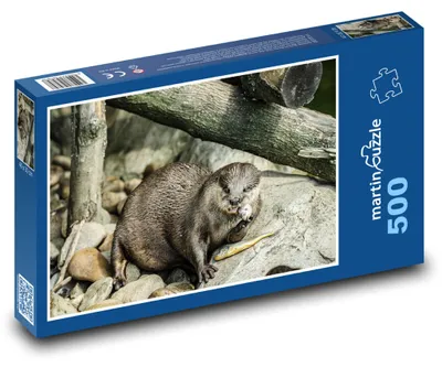 Obrázok produktu pre Puzzle 500 Vydra pri jedle - martinpuzzle