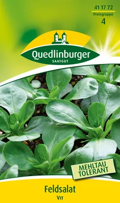 Produktbild von Feldsalat 'Vit' Quedlinburger Salatsamen