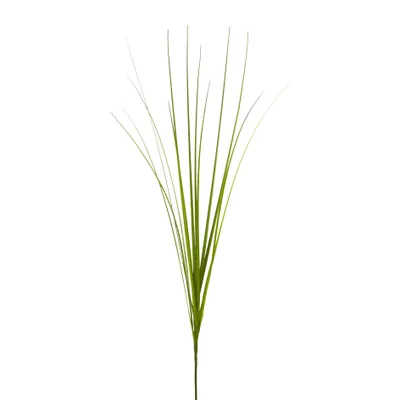 Produktbild von Kunstpflanze ISOLEPSIS Gras ca 62cm. Bund mit 12 Gräser in MIX-GRÜN