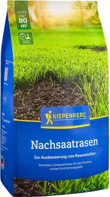 Artikelbild 2 von 'Kiepenkerl Nachsaatrasen (2 Kg)' aus der Kategorie Rasennachsaat