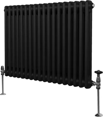 Productafbeelding van Traditionele radiator met 2 kolommen - 600 x 832 mm - Zwart