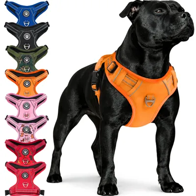 Produktbild von Reichstadt Hundegeschirr 25RSP083 Orange S