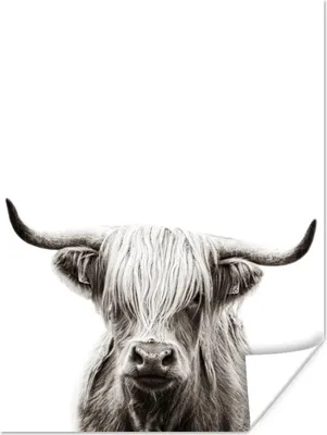 Produktbild von MuchoWow® Poster Schottischer Highlander - Tiere - Schwarz - Weiß 90x120 cm - Wohnzimmer