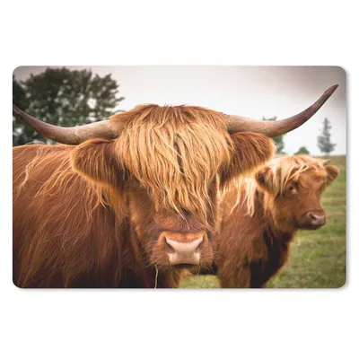 Produktbild von MuchoWow® Schreibtischunterlage Schottische Highlander - Braun - Gras 60x40 cm - XXL Mauspad - Großes Mauspad