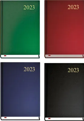 Zdjęcie produktu dla Terminarz Asystent 2025 T-237C