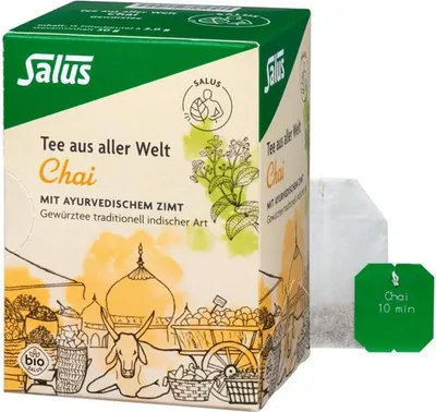 Produktbild von Salus Chai-Tee , 15 St. Filterbeutel