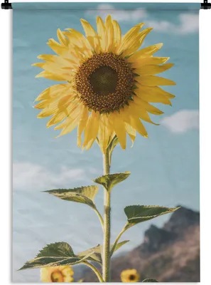 Produktbild von MuchoWow® Wandteppich Wandbehang Blumen - Sonnenblume - Draußen 90x135 cm Tapisserie Dekoration Wandtuch - Baumwolle - Wandskulptur
