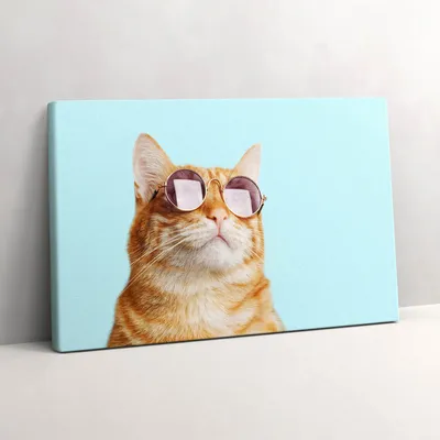 Produktbild von Lustige Katze mit Brille – Leinwandbild Wandbild – 30x20 cm – Leinwandbilder – Wandbilder – Schlafzimmer – Flur