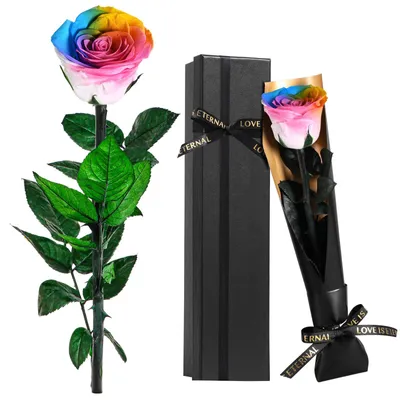 Ewige Regenbogenrose mit echtem Stiel, handgefärbt, in Geschenkbox