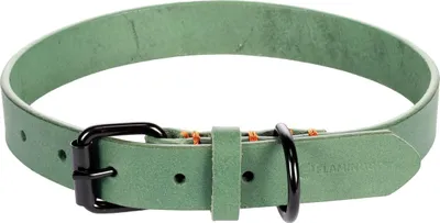 Produktbild von Flamingo Halsband Leano grün, Maße: 43 - 53 cm / 25 mm