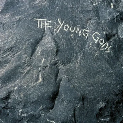 Zdjęcie produktu dla The Young Gods - The Young Gods (Reissue) (2 LP + CD)