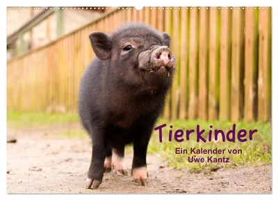 Produktbild von Tierkinder (Wandkalender 2027 DIN A2 quer), CALVENDO Monatskalender