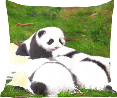 Produktbild von MuchoWow® Zierkissen Sofakissen Wohnzimmer Dekokissen 45x45 cm Pandas - Gras - Decke - Schlafpolster - Polster für das Sofa