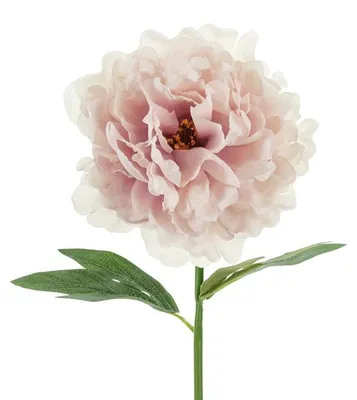 Image de Fleur artificielle - Pivoine, 35 cm, rose pâle