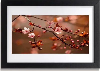Produktbild von Bild 30x20 MDF-Rahmen Wandkunst Traurige Blume für Frieden