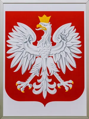 Obrázek produktu pro Godło Polska 297x420 mm z ramą
