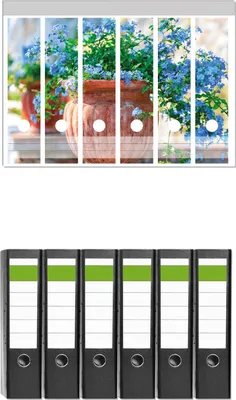 Produktbild von Wallario 6 Stück breite Ordner inkl. Klebeetiketten mit Motive Blaue Blumen in einer Steinvase -  Set mit Rückenschildern / Ordnerrücken Stickern
