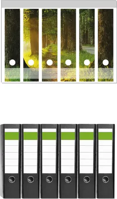 Produktbild von Wallario 6 Stück breite Ordner inkl. Klebeetiketten mit Motive Allee bei Sonnenuntergang -  Set mit Rückenschildern / Ordnerrücken Stickern