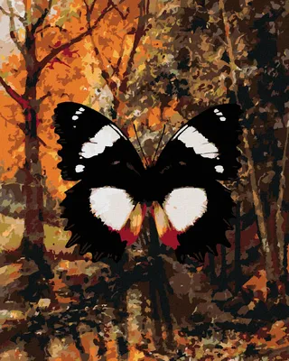 Produktbild von Zuty - Malen nach Zahlen - SCHMETTERLING IM HERBSTWALD, 40x50 cm, ohne Keilrahmen