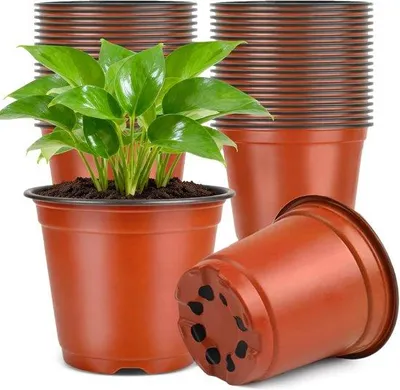 Imagen del producto de Pequeñas macetas, macetas de plástico de 15,5 cm, macetas para plantas de interior, macetas para plántulas, pequeñas macetas para plantas de interior, macetas para jardín y jardineras