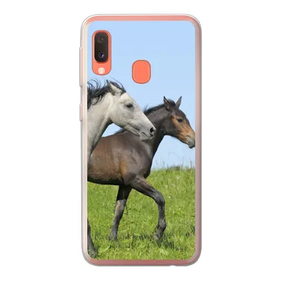 Produktbild von MuchoWow® Handyhülle Schutzhülle Hülle für Samsung Galaxy A20e Pferde - Tiere - Gras Silikon Softcase Handy Hülle - Abdeckung
