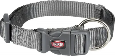 Produktbild von Premium Halsband 35–55 cm/20 mm grafit