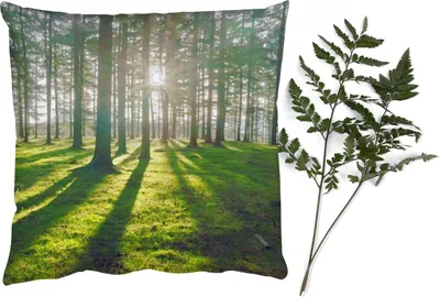 Produktbild von MuchoWow® Zierkissen Sofakissen Wohnzimmer Dekokissen 45x45 cm Bäume - Natur - Wald - Schlafpolster - Polster für das Sofa