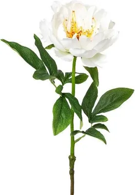 Produktbild von artplants.de Künstliche Pfingstrose PEFIN, weiß, 50cm - Kunstblume Pfingstrose