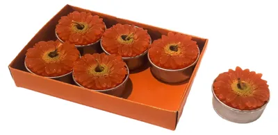 Productafbeelding van 6 kaarsen t-light gerbera d 4 cm