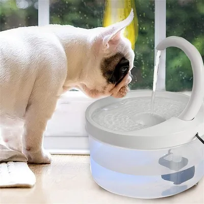 Produktbild von Katzen Trinkbrunnen Mit Filter Automatischer Wasserspender Haustier USB Wasser Pumpe Trinken Mit LED Licht Eleganter Wasserschüssel Leise Recycelbares Transparentes Wasserstands Fenster