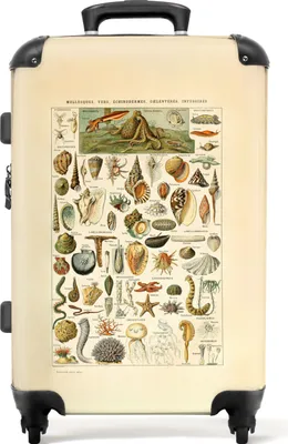 Obrázek produktu pro NoBoringSuitcases.com® Velký kufr - Vintage - Mušle - Mořská zvířata - Ilustrace - Umění - Kombinovaný zámek TSA - Pevná skořepina na kolečkách - 72 litrů - Cestovní kufr - 66 cmKufr střední 67x43x25 cm, 72L,