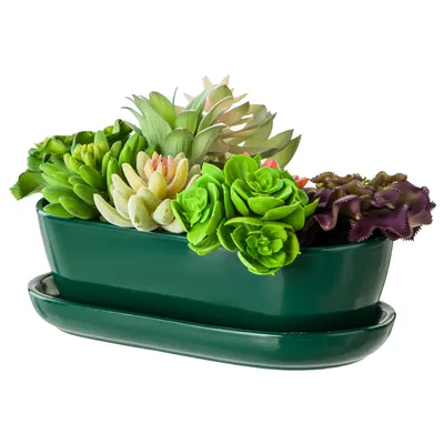 Productafbeelding van Bloempot, bloempot met binnenpot, donkergroen, cactuspot met onderzetter, ovaal, afmetingen: 13 cm x 27,5 cm x 8 cm. Afwerking: glanzend. Geschikt voor: cactussen. Materiaal: keramiek. Stijl: modern, glamoureuze uitstraling