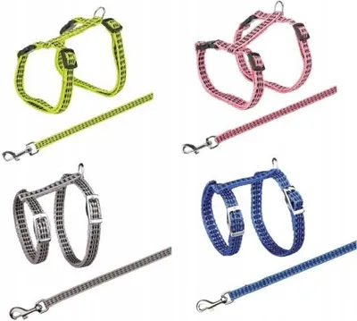 Image de Katzengeschirr mit Leine 22–42 cm/10 mm diverse
