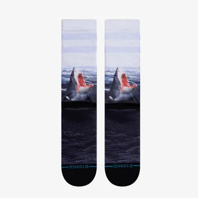 Immagine prodotto di Calze Stance Landlord Blue