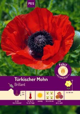 Artikelbild 1 von 'Türkischer Mohn Brillant' aus der Kategorie Mohnsamen