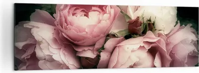 Produktbild von Bild auf Leinwand - Leinwandbild - Pfingstrose Blume - 160x50cm - Wand Bild - Wanddeko - Wandbilder - Leinwanddruck - Bilder - Kunstdruck - Wanddekoration - Leinwand bilder - Wandkunst - AB160x50-3930