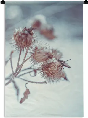 Produktbild von MuchoWow® Wandteppich Wandbehang Pflanzen - Winter - Schnee - Natur 60x90 cm Tapisserie Dekoration Wandtuch - Foto-Teppich - Abwaschbar
