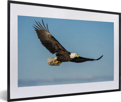 Produktbild von MuchoWow® Gerahmtes Poster Vogel - Adler - Raubvögel 60x40 cm - Poster mit Schwarzem Bilderrahmen Wandposter Rahmen Foto Bilder - Schlafzimmer - Plakat in Rahmen - Drucken