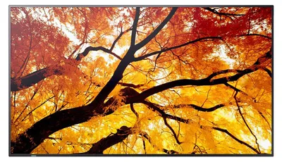 Zdjęcie produktu dla Sharp MultiSync M652, Płaski panel Digital Signage, 139,7 cm (55"), LCD, 3840 x 2160 px