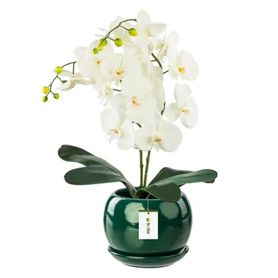 Produktbild von Blumentopf Blumenübertopf Flaschengrün Kugel Blumenschale mit Untersetzer Rund BxH 170 mm x 160 mm Oberfläche Glanz Keramik Modern Glamour