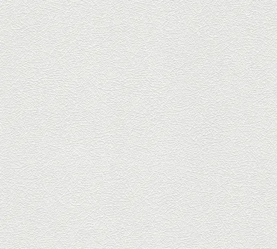 Obrázek produktu pro A.S. Création netkaná tapeta Meistervlies Pro Protect 2, bílá, malovatelná, 10,05 m x 0,53 m, 260413, 2604-13