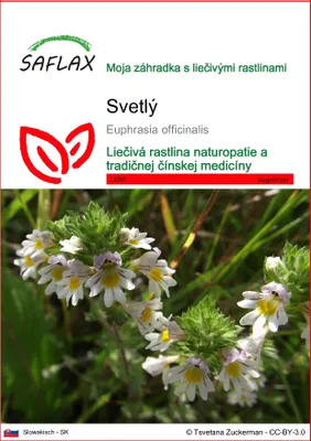Produktbild von SAFLAX - svetlý - Euphrasia officinalis - 200 Semená