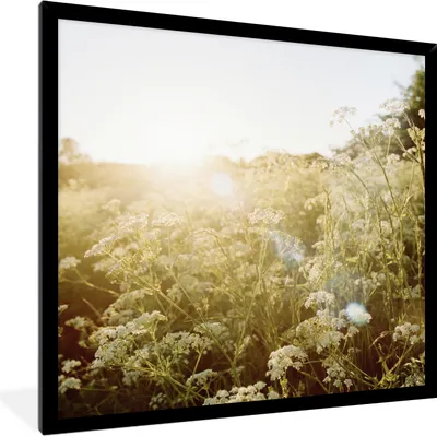 Produktbild von MuchoWow® Gerahmtes Poster Blumen - Weiß - Frühling 40x40 cm - Poster mit Schwarzem Bilderrahmen Wandposter Rahmen Foto Bilder - Mit Rahmen - Wanddekoration Schlafzimmer