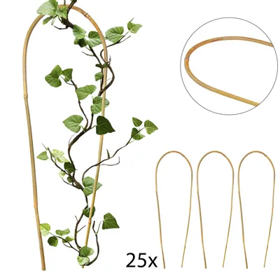 Produktbild von 4iQ Bambusbogen für Pflanzen Stütze 60 cm 25 Stück gebogener Bambusstab