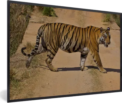 Produktbild von MuchoWow® Gerahmtes Poster Tiger - Weg - Lauf 60x40 cm - Poster mit Schwarzem Bilderrahmen Wandposter Rahmen Foto Bilder - Printing - Wanddeko Schlafzimmer